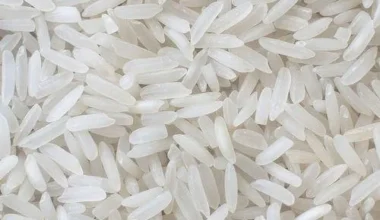 medium-grain-raw-rice-500x500
